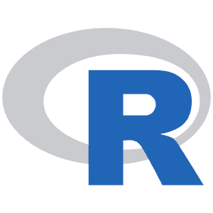 R Lang Icon from SVG Logos Set