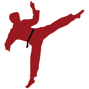 Sidekiq Icon Icon from SVG Logos Set