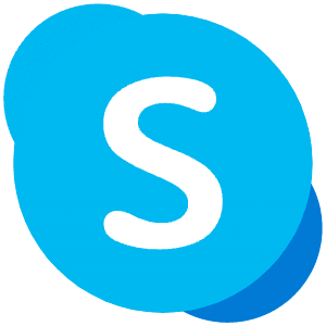 Skype Icon from SVG Logos Set