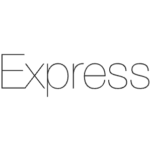 Express Icon from SVG Logos Set