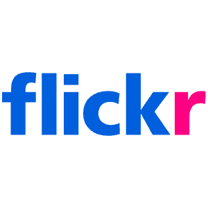 Flickr Icon from SVG Logos Set