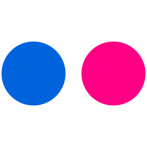Flickr Icon Icon from SVG Logos Set