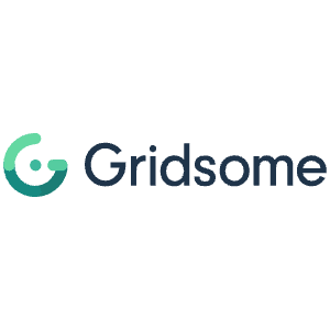 Gridsome Icon from SVG Logos Set