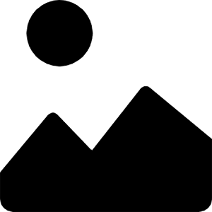 Image Alt Icon from Bootstrap Set