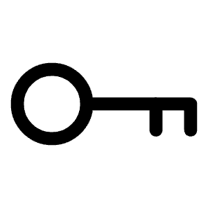 Key Icon from Iconoir Regular Set