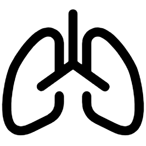 Lungs Icon from Bootstrap Set