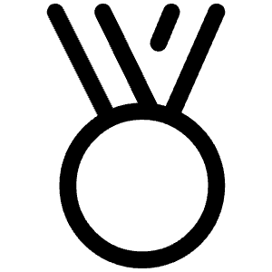 Medal Icon from Iconoir Regular Set