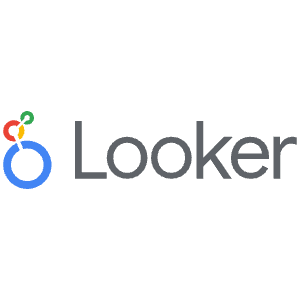 Looker Icon from SVG Logos Set