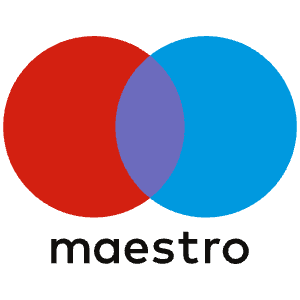 Maestro Icon from SVG Logos Set