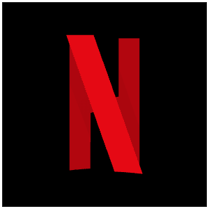Netflix Icon Icon from SVG Logos Set