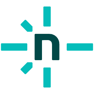 Netlify Icon Icon from SVG Logos Set