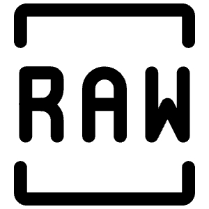 Raw Format Icon from Iconoir Regular Set