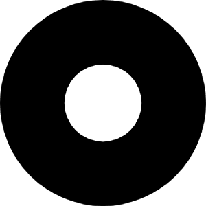 Record Circle Fill Icon from Bootstrap Set