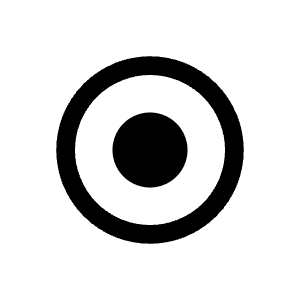 Record2 Icon from Bootstrap Set