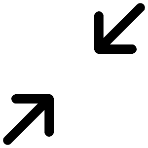 Reduce Icon from Iconoir Regular Set