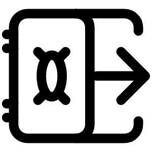 Safe Arrow Right Icon from Iconoir Regular Set