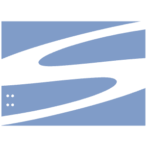 Subversion Icon from SVG Logos Set