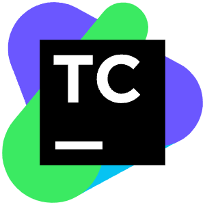 Teamcity Icon from SVG Logos Set