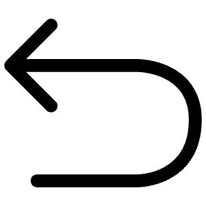 Undo Icon from Iconoir Regular Set