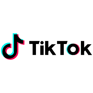 Tiktok Icon from SVG Logos Set
