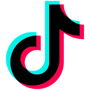 Tiktok Icon Icon from SVG Logos Set