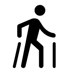 Nordic Walking Fill Icon from Rounded Fill - Material Symbols Set