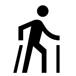 Nordic Walking Icon from Outlined Line - Material Symbols Set