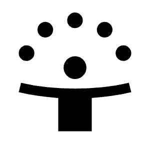 Person Celebrate Fill Icon from Outlined Fill - Material Symbols Set