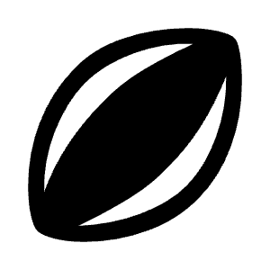 Sports Rugby Fill Icon from Sharp Fill - Material Symbols Set