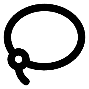 Lasso Icon from Lucide Line Set