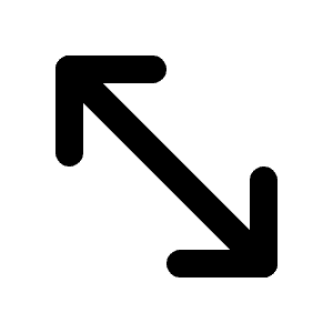 Move Diagonal 2 Icon from Lucide Line Set