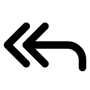 Reply All Icon from Lucide Line Set