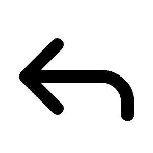 Reply Icon from Lucide Line Set