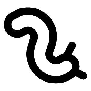 Worm Icon from Lucide Line Set