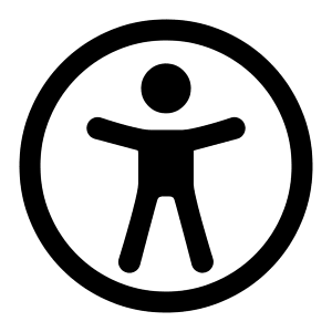 Accessibility Icon from Radix Set