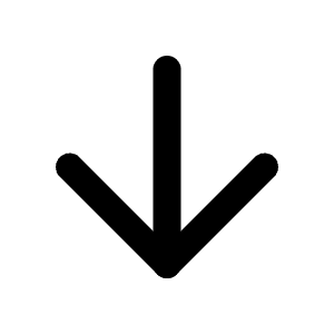 Arrow Down Icon from Feather Set