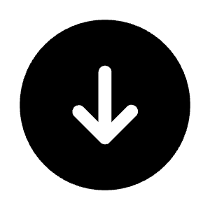 Arrow Down Circle Icon from Heroicons Solid Set
