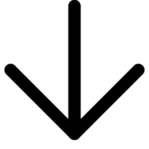 Arrow Down Icon from Lucide Line Set