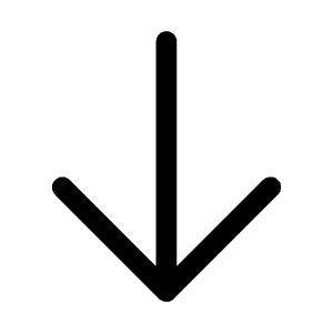 Arrow Down Icon from Heroicons Outline Set