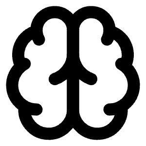 Brain Icon from Lucide Line Set