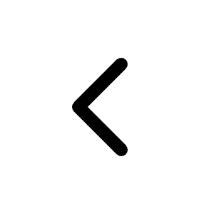 Caret Left Icon from Radix Set
