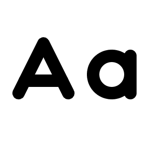 Case Sensitive Icon from Lucide Line Set