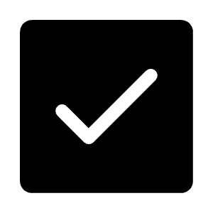 Check Square Icon from Iconoir Solid Set