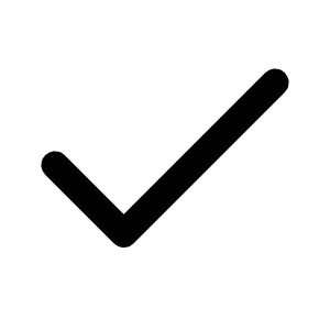 Check Icon from Lucide Line Set