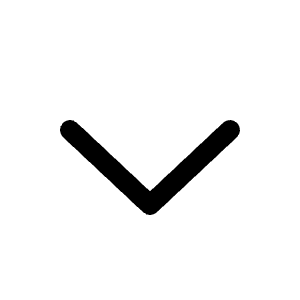 Chevron Down Icon from Radix Set