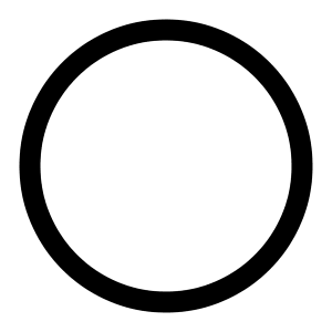 Circle Icon from Radix Set