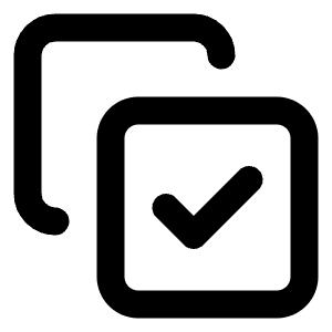 Copy Check Icon from Lucide Line Set