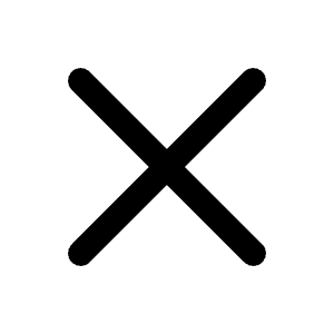 Cross 2 Icon from Radix Set