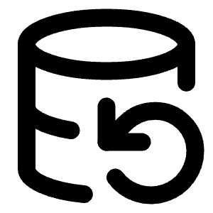 Database Backup Icon from Lucide Line Set