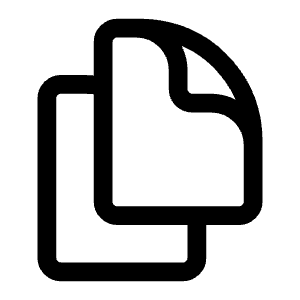Document Duplicate Icon from Heroicons Outline Set